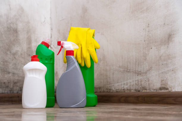 Parole, MD Mold Removal Company